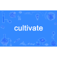 cultivate