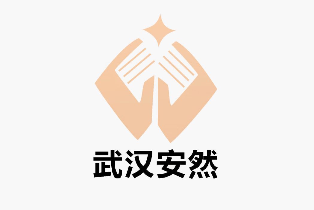 武漢安然理財顧問有限公司