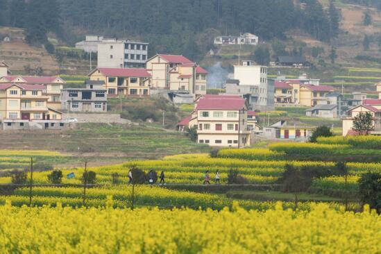 大坪鎮(鎮安縣大坪鎮)