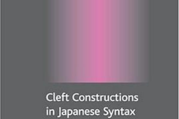 Cleft Constructions in Japanese Syntax