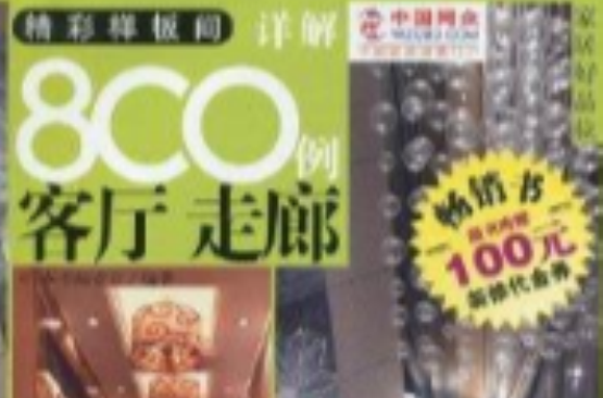 精彩樣板間詳解800例：客廳走廊