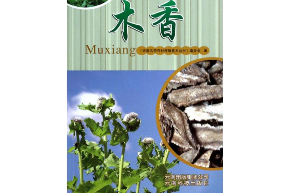 雲南名特藥材種植技術叢書：木香