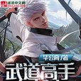 都市至尊高手(17k網小說)