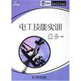 電工技能實訓(2010年人民郵電出版社出版的圖書)