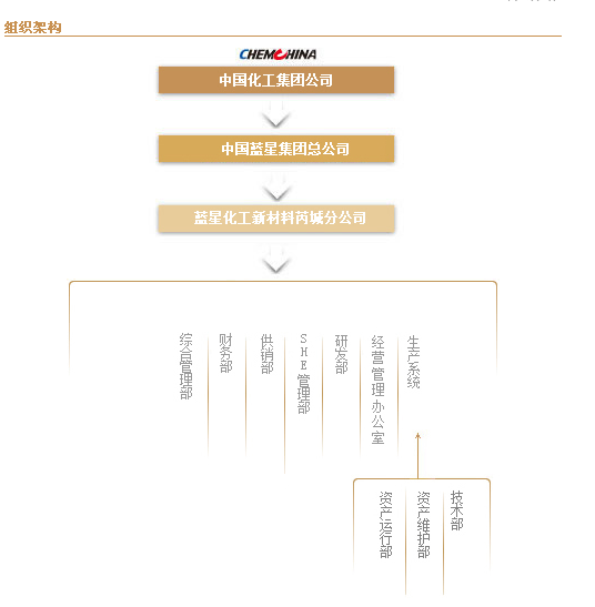 藍星化工新材料股份有限公司芮城分公司