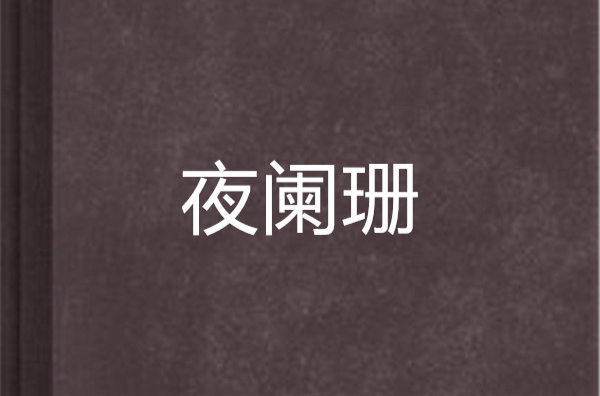 夜闌珊(小說)