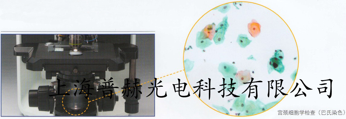 奧林巴斯螢光顯微鏡BX43