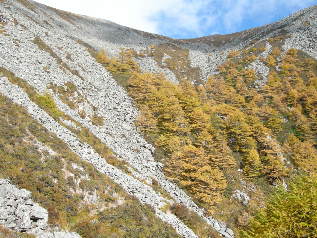 冰川接觸沉積