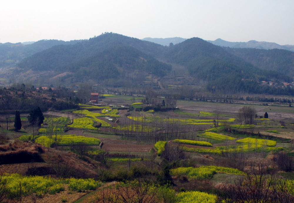 大霧山(武漢市新洲區舊街街大霧山)