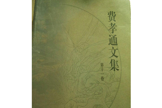 費孝通文集第11卷(1999年群言出版社出版的圖書)