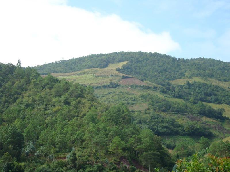 瓦金村(瓦金村民委員會)