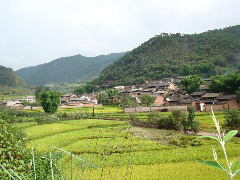 新田村(雲南省永平縣博南鎮新田村)