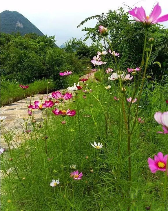 興義馬嶺河峽谷探險步道