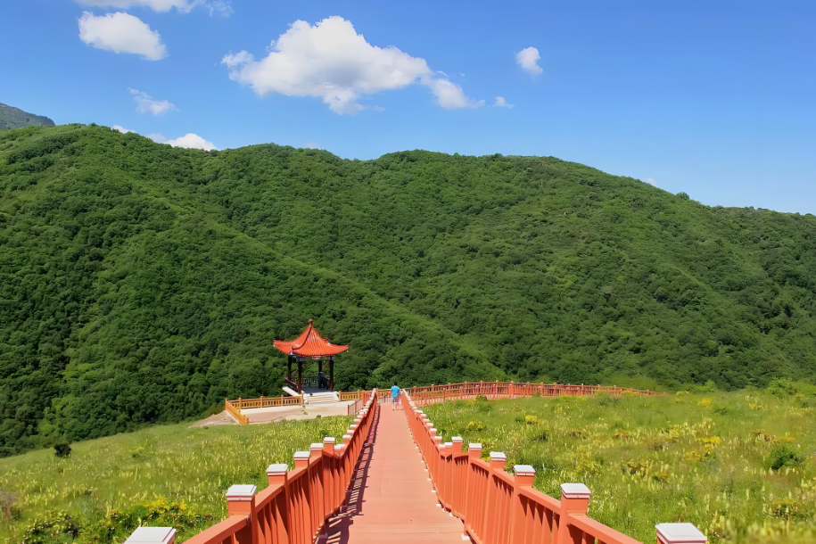 翠雲山森林風景區