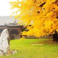 古觀音禪寺