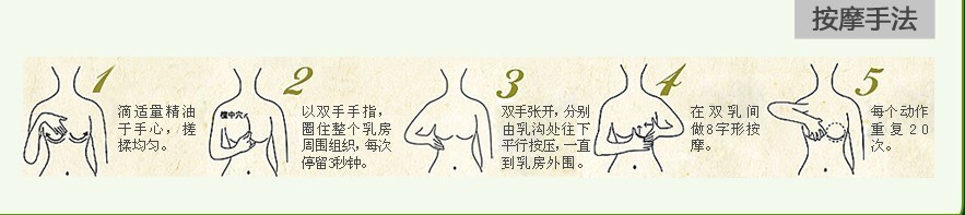 至舒丰韻美乳精油