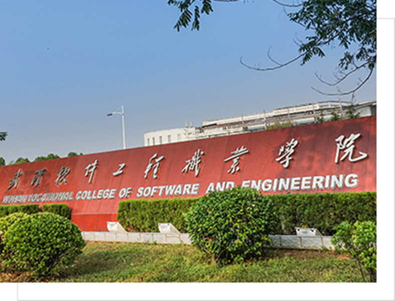 武漢軟體工程職業學院計算機學院