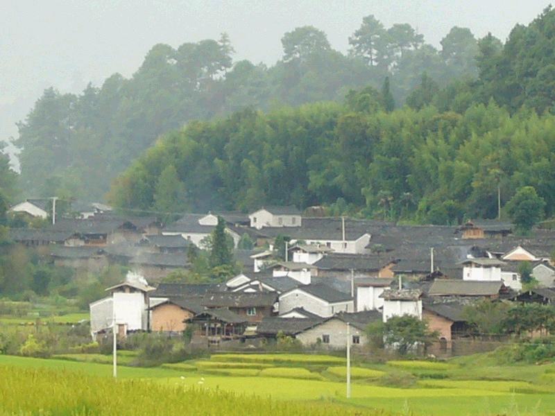 灣子自然村(林口彝族苗族鄉娃飛村委會下轄自然村)