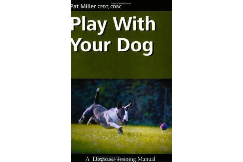 Play with Your Dog