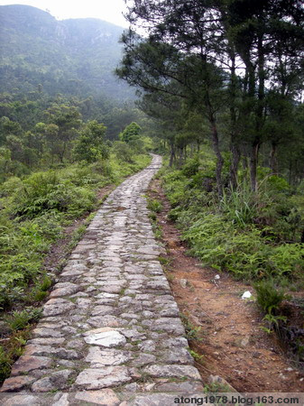 鳴峰山