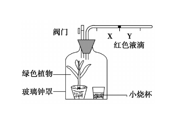 黑白瓶法