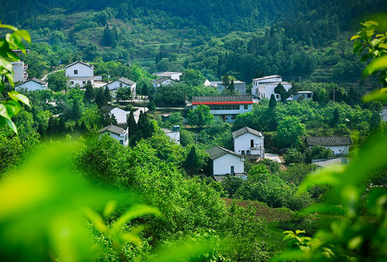 綠色幸福村