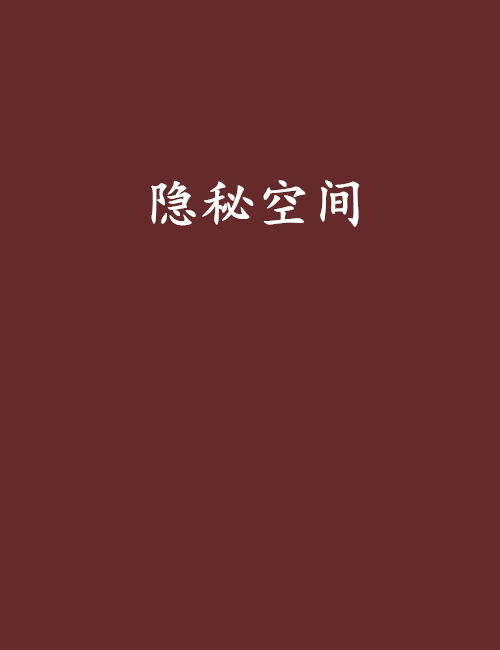 隱秘空間(小說)