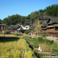 大園子村(雲南省楚雄楚雄市西舍路鄉朵苴村委會下轄村)