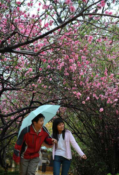 春雨綿綿