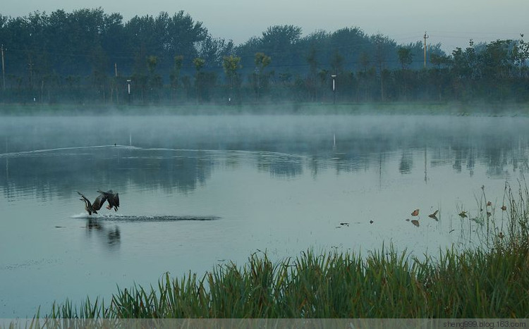 成武八景