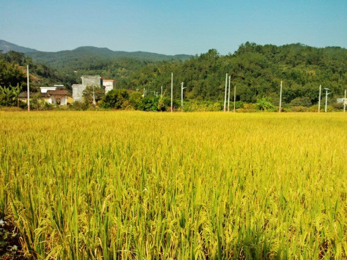 北石明村