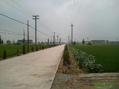 通村道路