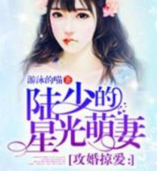 攻婚掠愛：陸少的星光萌妻