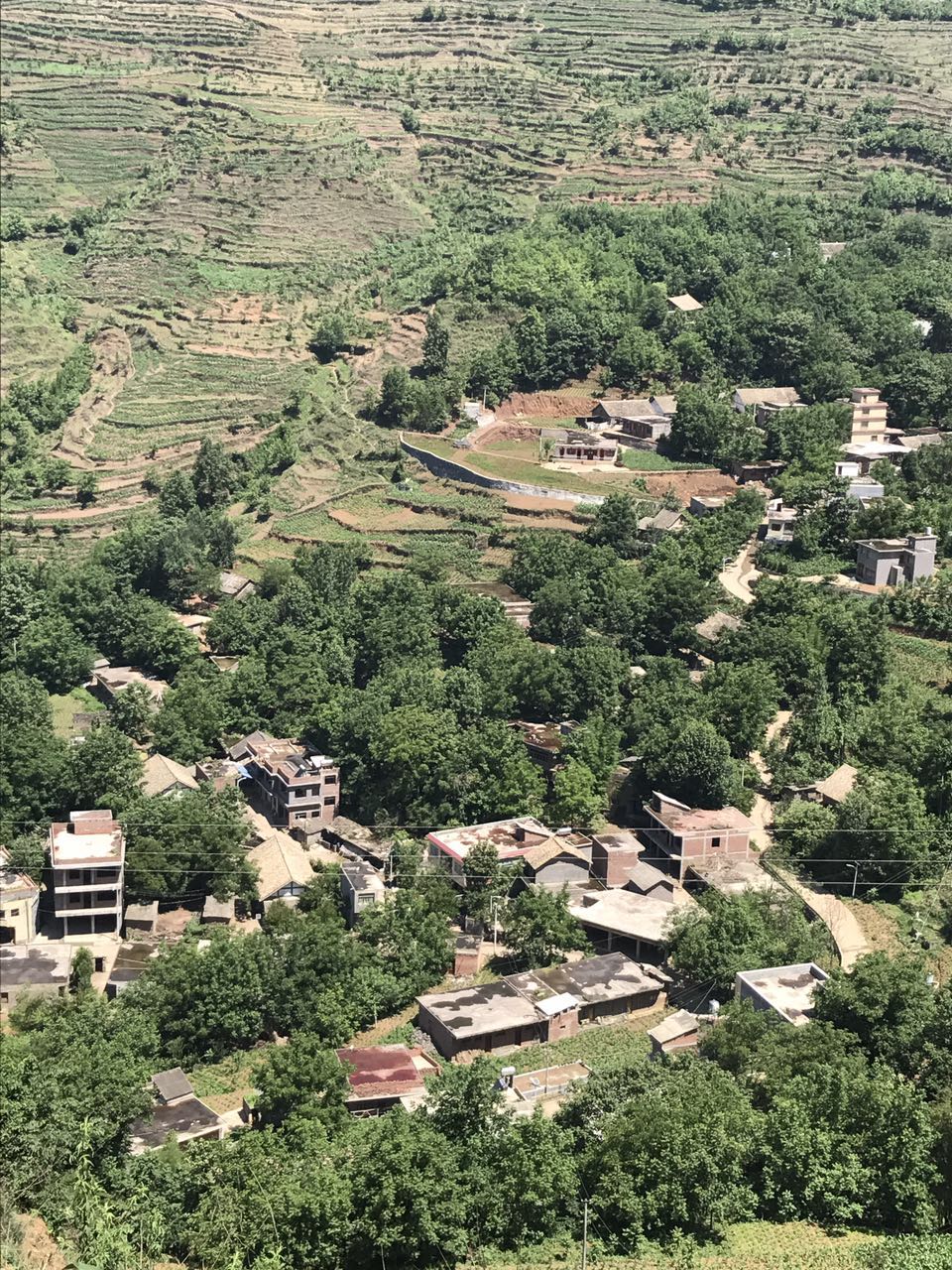 法橋村