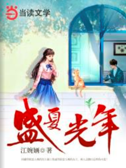 盛夏光年(網路小說)