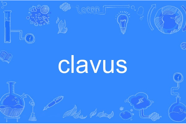 clavus