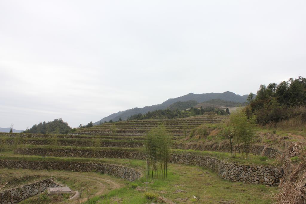 馮家山村(浙江慶麗水市元縣龍溪鄉下轄村)