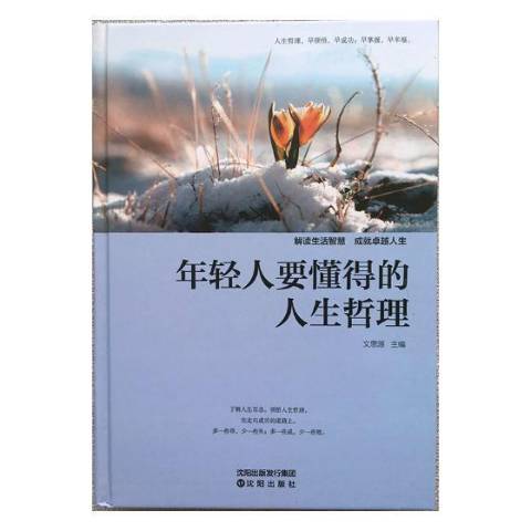 年輕人要懂得的人生哲理(2017年瀋陽出版社出版的圖書)