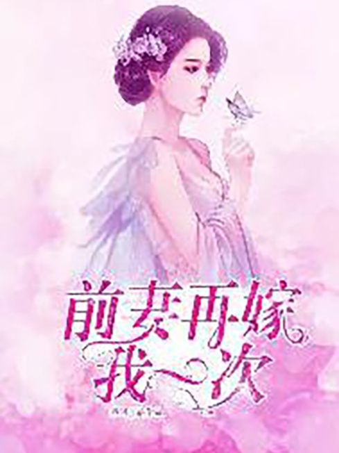 前妻再嫁我一次(煮酒烹茶所著小說)