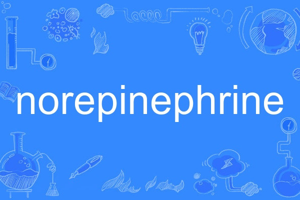 norepinephrine