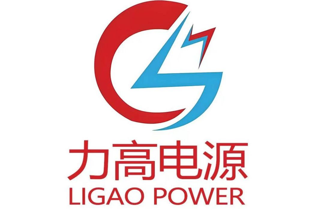 山東力高電源有限公司