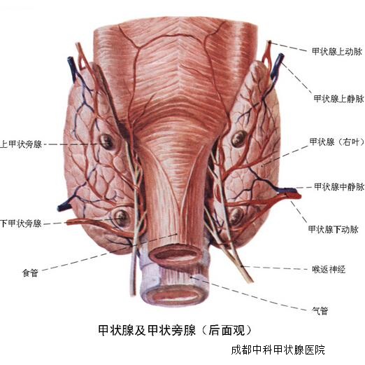 原發性顱內惡性淋巴瘤