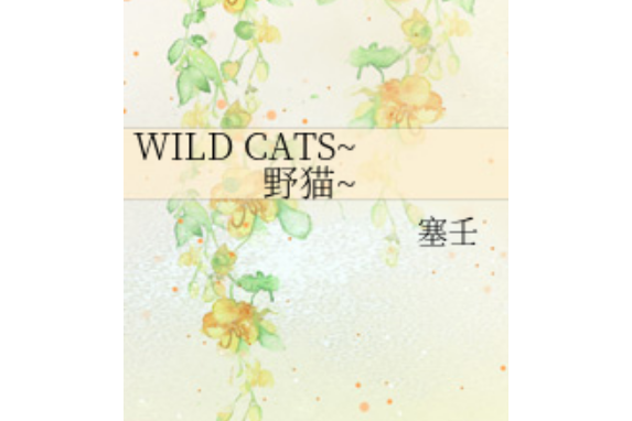 WILD CATS~野貓~