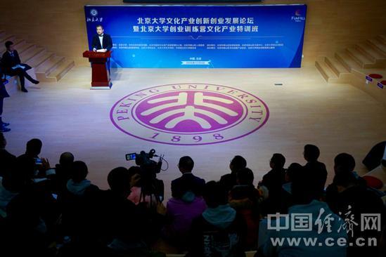 北京大學文化產業創新創業發展論壇