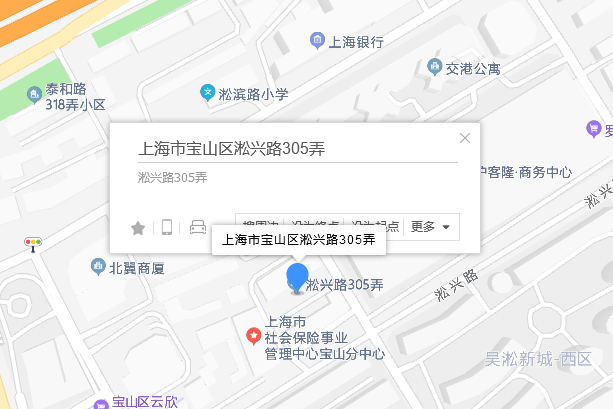 淞興路305弄