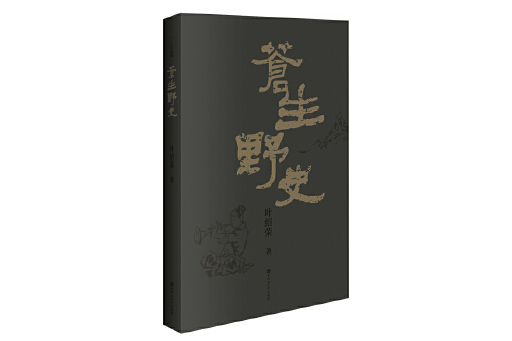 蒼生野史(2023年百花洲文藝出版社出版的圖書)