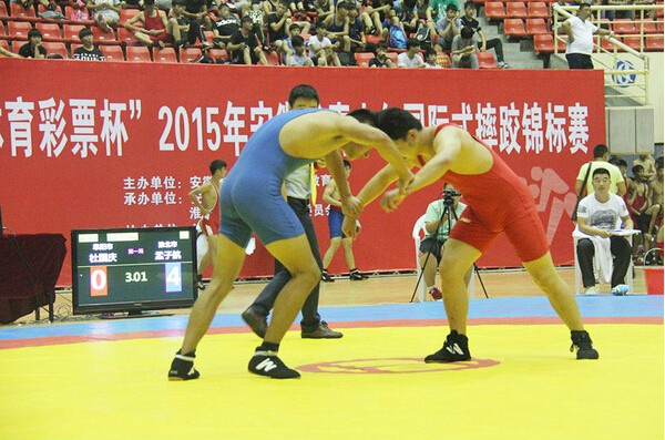 2015年四川省青少年國際式摔跤錦標賽