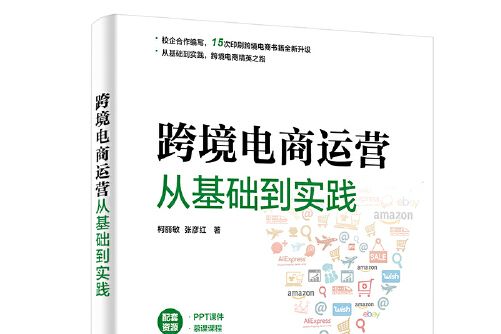 跨境電商運營從基礎到實踐(2020年電子工業出版社出版的圖書)