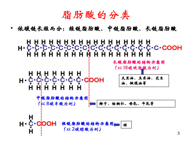 中長鏈脂肪酸