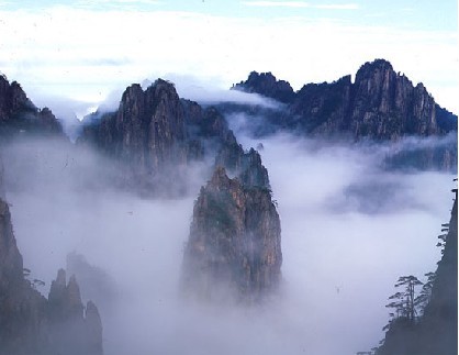 雲海